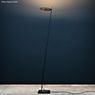 Catellani & Smith Lederam F0 Lampada da terra LED rame/nero , Vendita di giacenze, Merce nuova, Imballaggio originale