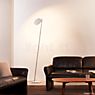 Catellani & Smith Lederam F0, lámpara de pie LED latón/negro - ejemplo de uso previsto