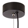 Catellani & Smith Lederam Manta Suspension LED doré/noir/noir-doré - ø60 cm