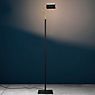 Catellani & Smith U. F Flex Floor Lamp LED black/brass