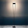 Catellani & Smith Vi. F Floor Lamp LED black/brass