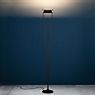 Catellani & Smith Vi. F Floor Lamp LED white/brass
