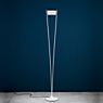 Catellani & Smith Vi. F Lampadaire LED noir/laiton