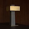 DCW Iota Table Lamp LED grey/brass application picture