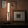 DCW La Lampe Frechin, lámpara de sobremesa LED negro/dorado - ejemplo de uso previsto