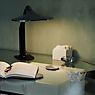 DCW Niwaki Lampe de table LED noir - produit en situation