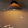 DCW Plume Wall Light porcelain - without switch - without stecker application picture