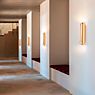 DCW Rosalie Wall Light LED gold - 60 cm application picture