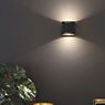 Delta Light Orbit Punk Lampada da parete LED dorato/nero - immagine di applicazione