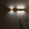 Delta Light Orbit Punk Wall Light LED black/gold