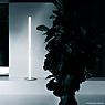 Flos Coordinates F Floor Lamp LED champagne anodised application picture