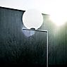 Flos IC Lights F1 Outdoor messing productafbeelding