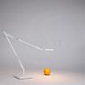 Flos Kelvin LED in 3D aanzicht voor meer details