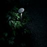 Flos Landlord Soft, luz de pedestal LED negro - 30 cm - ejemplo de uso previsto