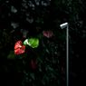 Flos Landlord Spot 60 cm LED anthrazit, 26° Anwendungsbild