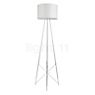 Flos Ray Floor Lamp in the 3D viewing mode for a closer look