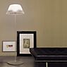 Flos Romeo Moon F with cord dimmer transparent application picture
