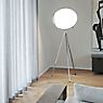Flos Superloon white application picture