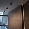 Flos Wan wall-/ceiling light black application picture
