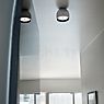 Flos Wan wall-/ceiling light black application picture