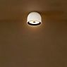 Flos Wan wall-/ceiling light white