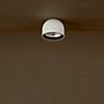 Flos Wan wall-/ceiling light white