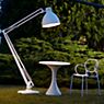 Fontana Arte Naska Floor Lamp white - without dimmer application picture