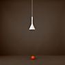 Foscarini Aplomb Pendelleuchte braun - ø11,5 cm