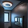 Foscarini Bahia Parete LED dimmbar - ø76 cm Anwendungsbild