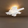 Foscarini Big Bang Parete/Soffitto blanc