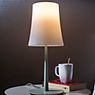 Foscarini Birdie Easy table lamp brick red application picture