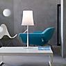 Foscarini Birdie Table Lamp grey - with switch application picture