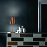 Foscarini Birdie Table Lamp grey - with switch application picture