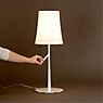 Foscarini Birdie Tafellamp in 3D aanzicht voor meer details