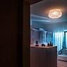 Foscarini Caboche Plus Deckenleuchte LED rauchgrau, schaltbar Anwendungsbild