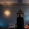 Foscarini Caboche Plus Væglampe røggrå - media ansøgning billede