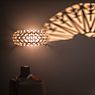 Foscarini Caboche Plus Wandlamp rookgrijs - media productafbeelding