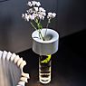 Foscarini Fleur Tischleuchte LED weiß Anwendungsbild