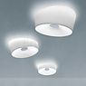 Foscarini Glass for Lumiere XXL/XXS wall/ceiling light - Spare Part white - XXS application picture