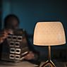 Foscarini Lumiere Table Lamp Piccola champagne/warm white - with switch application picture