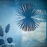 Foscarini Sun Light of Love Sospensione LED blanco - MyLight - ejemplo de uso previsto