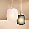 Fritz Hansen Maluma Pendant Light green