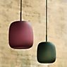 Fritz Hansen Maluma Pendant Light green