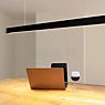 GRIMMEISEN Onyxx Linea Pro Pendant Light LED nut tree/black application picture