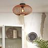 Good & Mojo Cango Ceiling Light black application picture