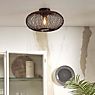 Good & Mojo Cango Ceiling Light black application picture