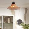 Good & Mojo Ibiza, lámpara de techo negro - 50 cm - ejemplo de uso previsto