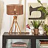 Good & Mojo Iguazu Table Lamp with Base black application picture