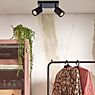 Good & Mojo Java Spot 2 lamps black , discontinued product application picture