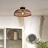 Good & Mojo Pantanal Ceiling Light brown application picture